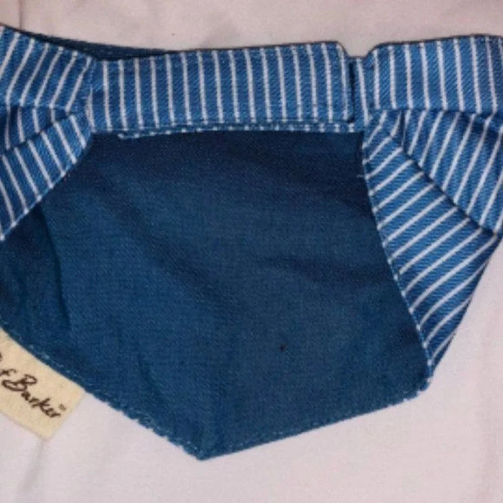 Set of 2 puppy scarves, hook and loop neck